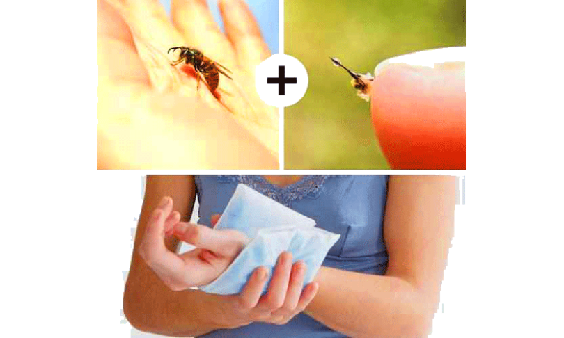 bee sting remedy rite aid